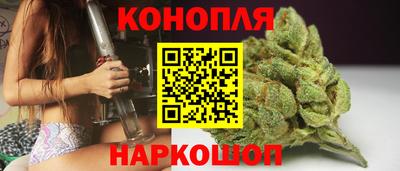гашик Нальчик
